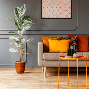 Design & Build Services